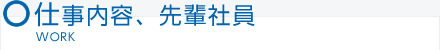 仕事内容、先輩社員